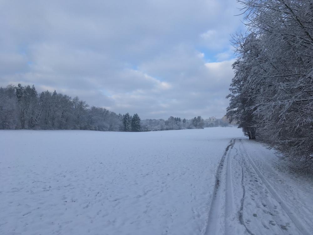 Weihnachtsaktion